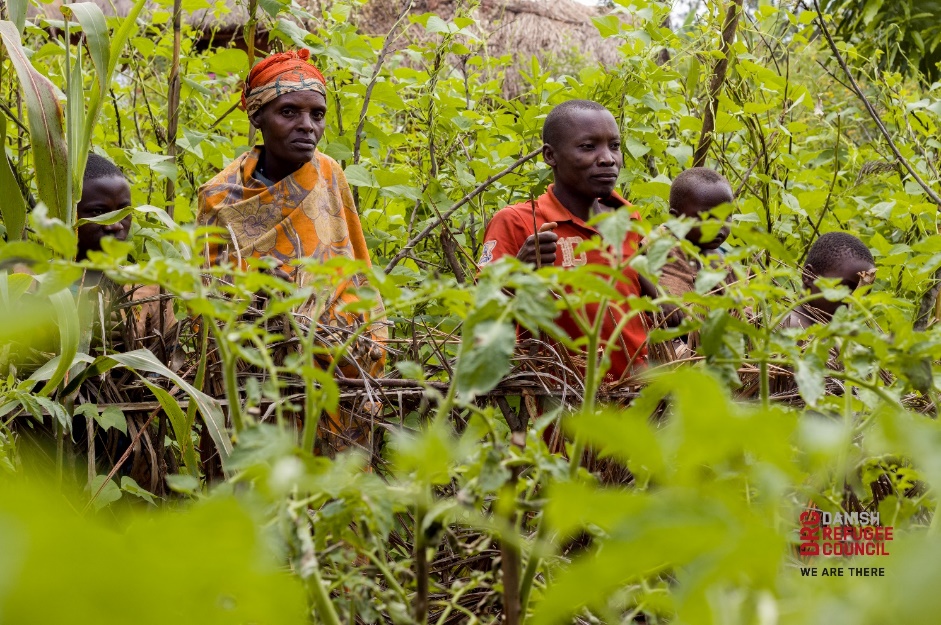 Image Sécurité Alimentaire